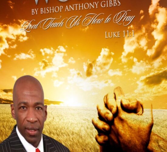 WhatsApp Image 2024-01-31 at 22.40.11_abc842e9